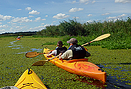 kajaki Szczecin